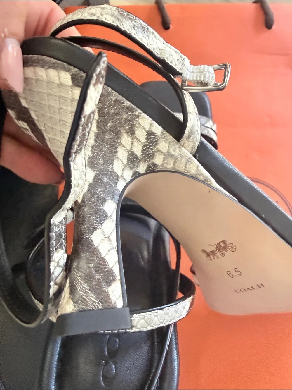 Coach Black Sandal with Silver Snake-Print Straps